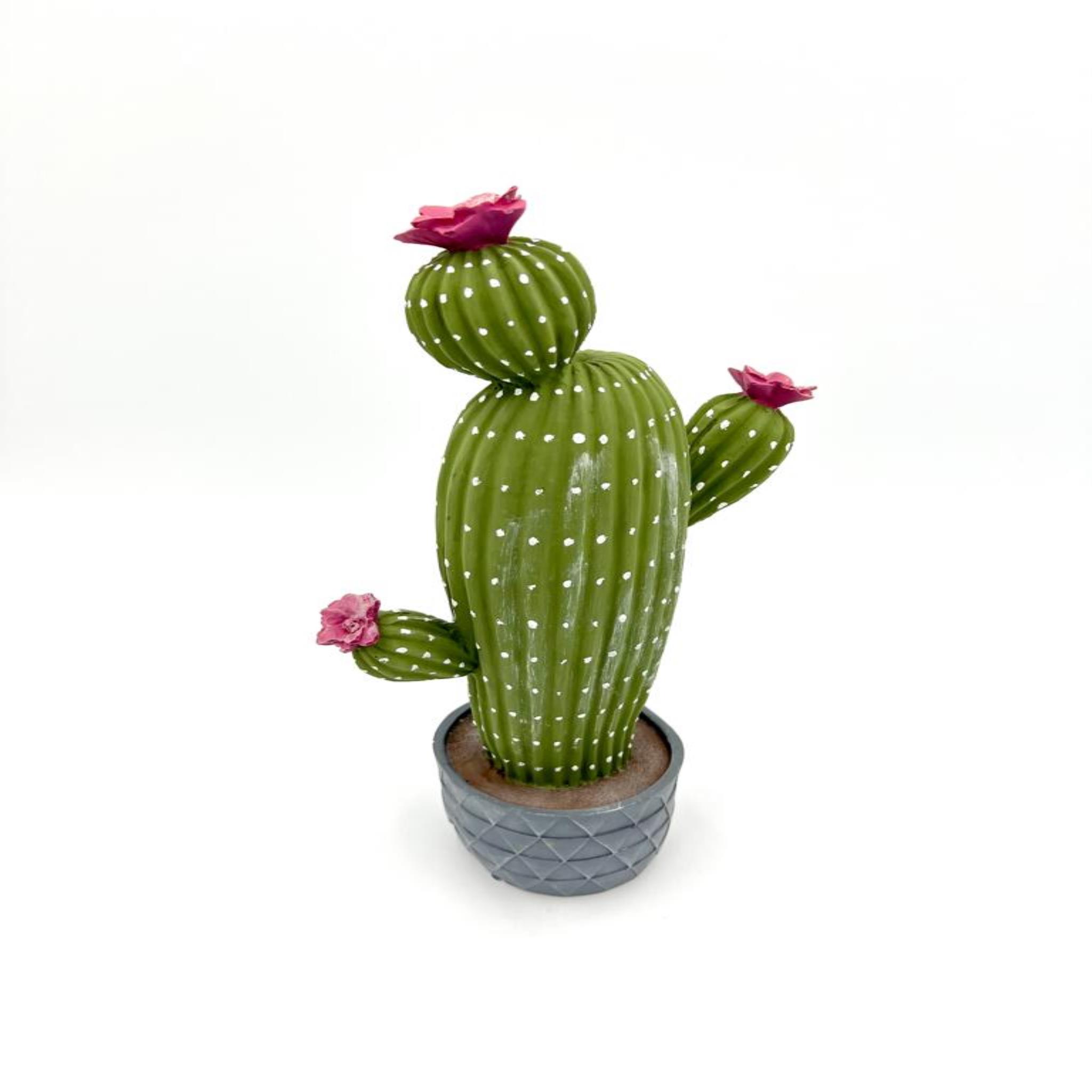 Soğuk porselen kaktüs resmi