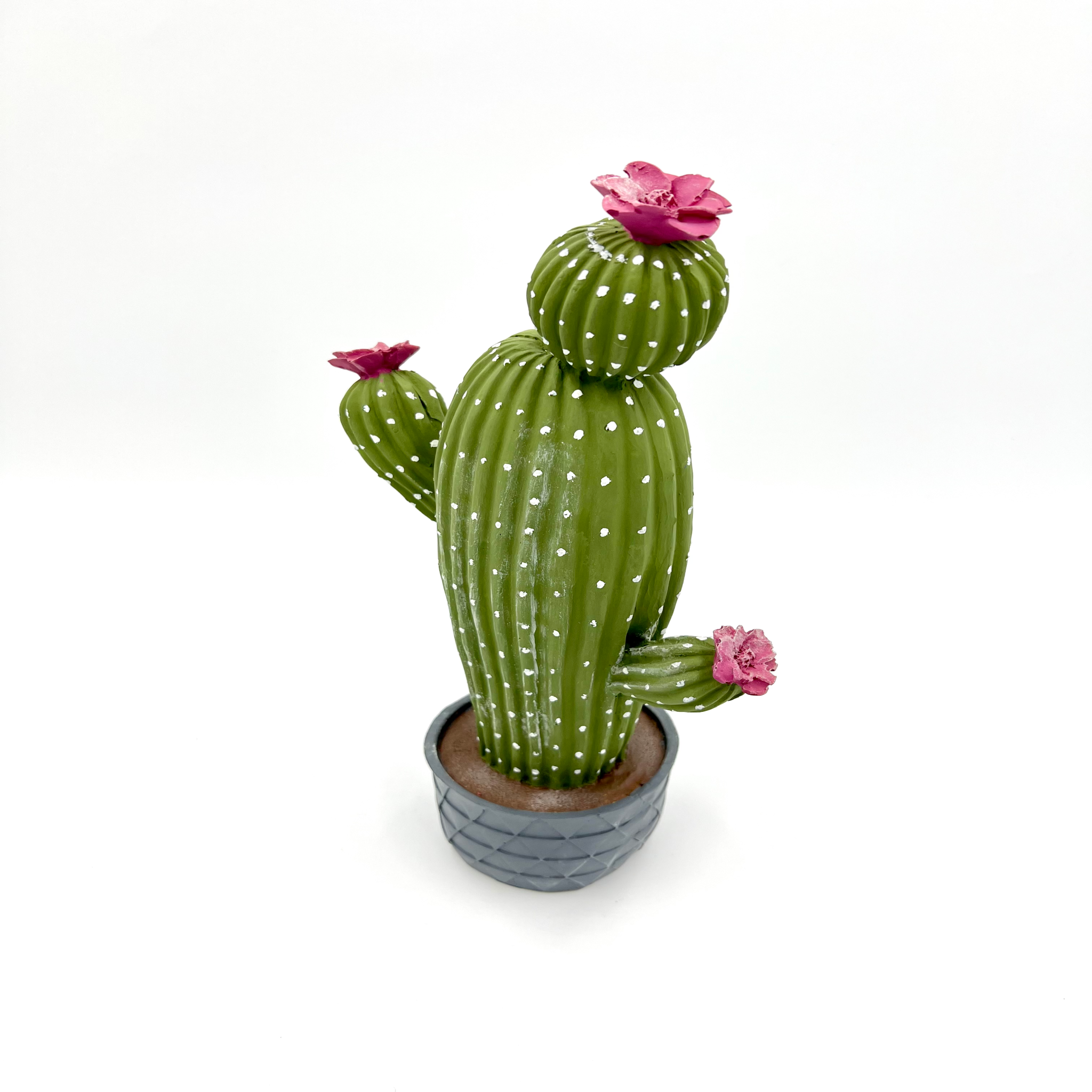 ÇİÇEKLİ KAKTÜS resmi