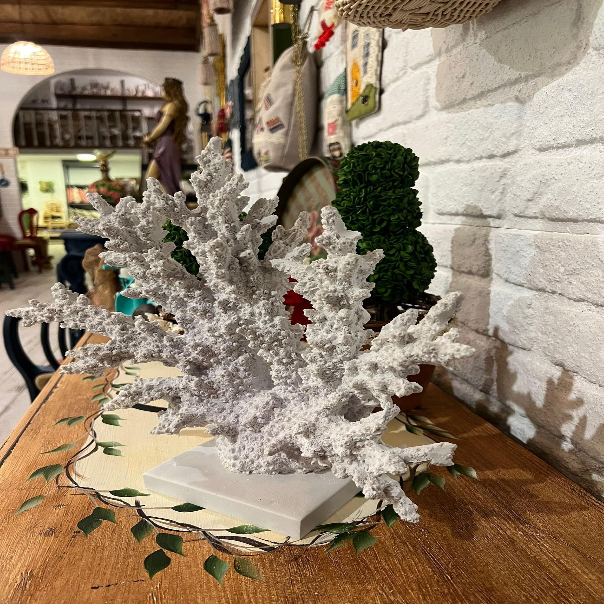 Mercan Resifler Ham Polyester resmi